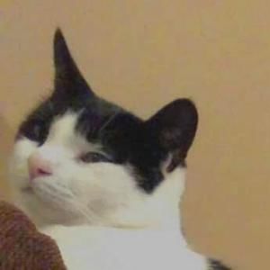 Meet your Posher, Jocelyn